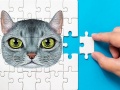 Igra Abisinijska Izziv Puzzle spletu