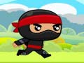 Igra Ninja spletu