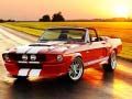 Igra Razlike v Elegantnem Mustang spletu