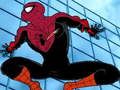 Igra Obleka Spidermana spletu