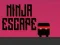 Igra Ninja pobeg spletu