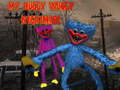 Igra Moja Huggy Wuggy Nočna Mora spletu