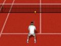 Igra Pravi Tenis spletu