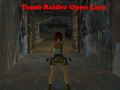 Igra Tomb Raider: Odprta Lara spletu