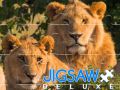 Igra Jigsaw Deluxe spletu