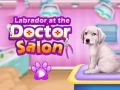 Igra Labrador pri veterinarju spletu