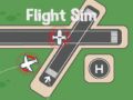 Igra Simulator Leta spletu