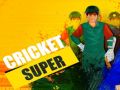 Igra Super Kriket spletu