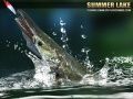 Igra Poletno Jezero 1.5 spletu
