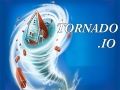 Igra Eg Tornado.io spletu