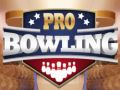 Igra Profesionalno bowling spletu