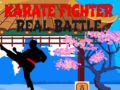 Igra Borec Karate: Resni Boj spletu