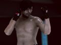 Igra MFS: MMA Borec spletu