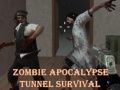 Igra Preživetje v tunelu zombie apokalipse spletu