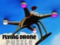 Igra Letalo Dron Puzzle spletu
