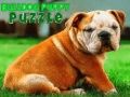 Igra Sestavljanka s bulldogom spletu