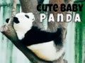 Igra Ljubka dojenčka panda spletu