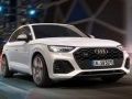 Igra Audi SQ5 TDI Drsenje spletu