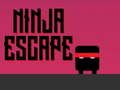 Igra Ninja pobeg spletu