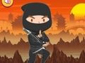 Igra Trenirani Ninja Puzzl spletu