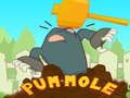 Igra Pum-Mole spletu