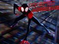 Igra Spider-Man: Maskirane Misije spletu