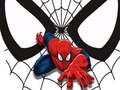 Igra Spider-Man Ujemne Karte spletu