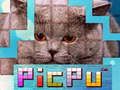 Igra PicPu Mačka spletu