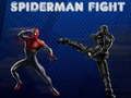 Igra Boj Spiderman spletu