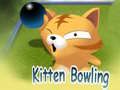 Igra Bowling s mucke spletu