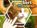 Igra Razvrsti fotografije spletu