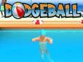 Igra Dodgeball spletu