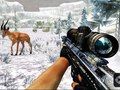 Igra Shooting lov na džunglo 2022 spletu