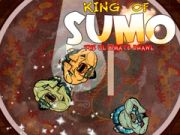 Igra Kralj sumo: končna borba spletu Igra Kralj sumo: končna borba spletu