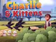 Igra Charlie in mačkoni spletu