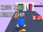 Igra Haggo Jaggo Tekmovalec izpit spletu