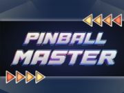 Igra Mojster Pinbala spletu