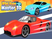Igra Divja dirka: Master 3D spletu