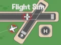 Igra Simulator Leta spletu