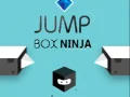 Igra Ninja Skakalna Škatla spletu