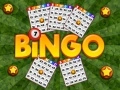 Igra Bingo spletu Igra Bingo spletu