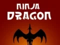 Igra Ninja Zmaj spletu