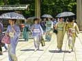 Igra 100 Metuljev na Japonskem spletu Igra 100 Metuljev na Japonskem spletu