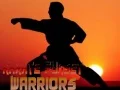 Igra Karate Bojaki Sončnega Zahoda spletu