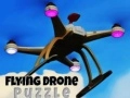 Igra Letalo Dron Puzzle spletu