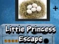 Igra Pobeg male princese spletu