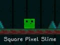 Igra Kvadratni Pixel Slime spletu