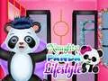 Igra Naughti Panda Slog za življenje spletu