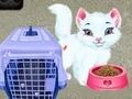 Igra Baby Taylor: Skrb za hišne ljubljenčke spletu