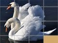 Igra Puzzle Zdrsnih Živali spletu Igra Puzzle Zdrsnih Živali spletu